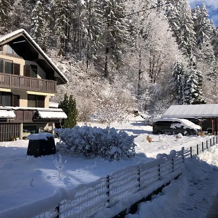 Savadolinka House *