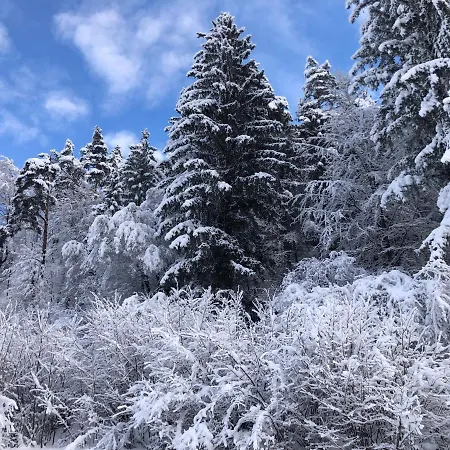 Savadolinka House Id 116o7o Апартаменты *