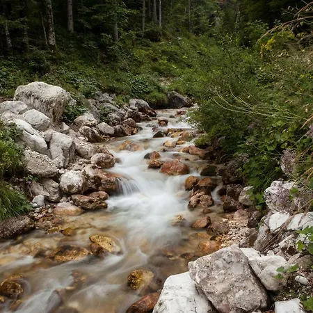 Savadolinka House Id 116o7o