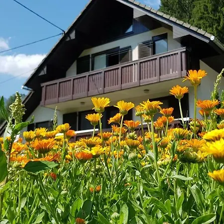 Savadolinka House Apartment Mojstrana