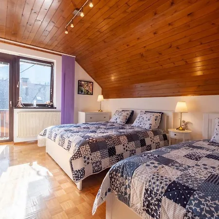 Savadolinka House Apartment *
