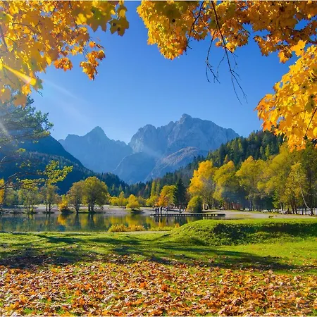 Appartement Savadolinka House Id 116o7o