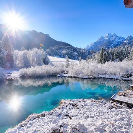 Savadolinka House Id 116o7o Appartement