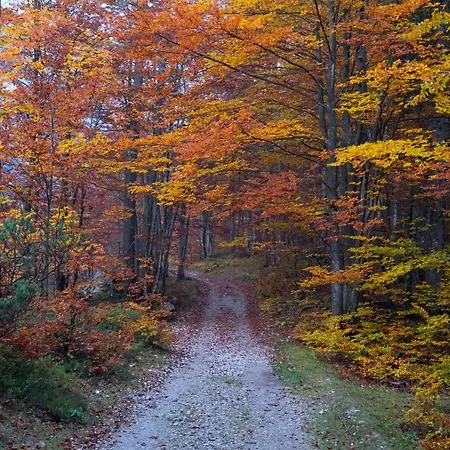 Savadolinka House Id 116o7o Appartement Mojstrana