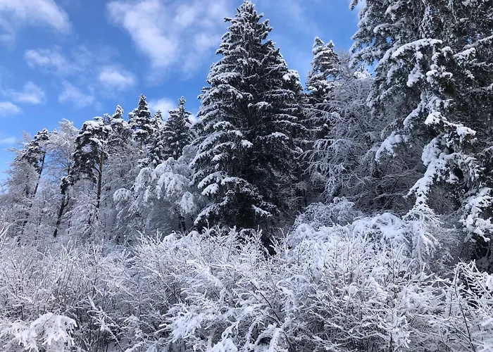 Savadolinka House Id 116o7o דירה *