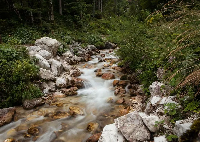 Savadolinka House Id 116o7o