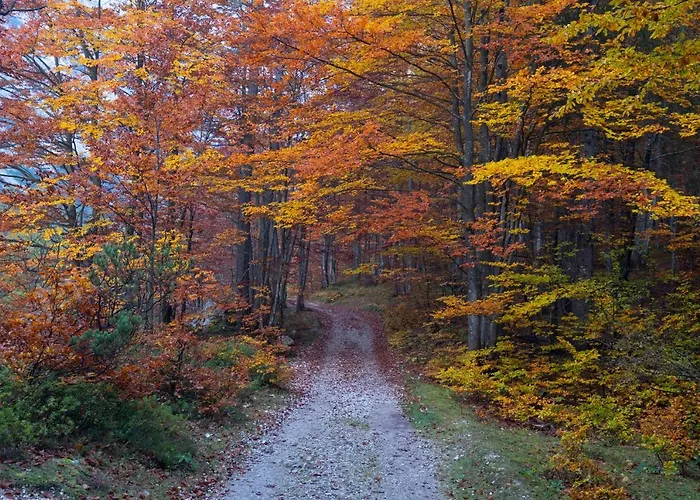 Savadolinka House Id 116o7o Apartman Mojstrana