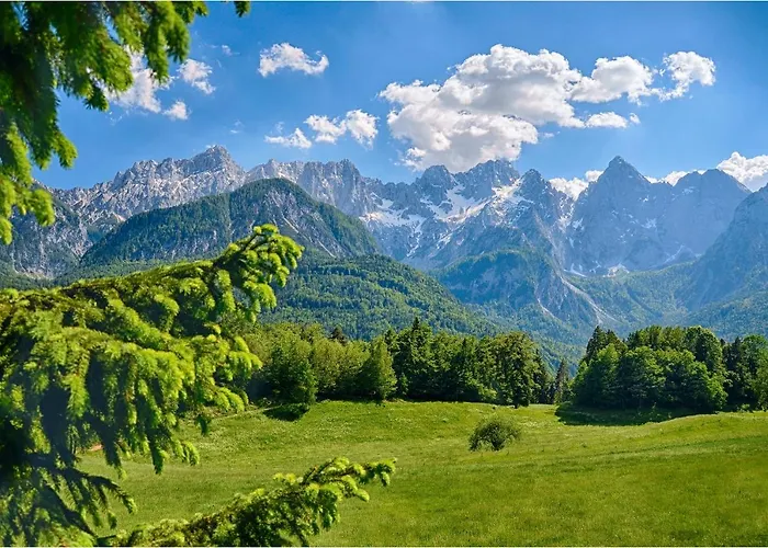 Apartman Savadolinka House Id 116o7o Mojstrana